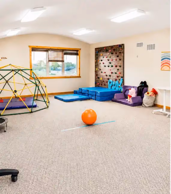 Movement room at the Idaho Falls clinic with a climbing dome, climbing wall, and floor mats.